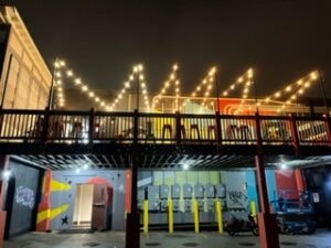 Outdoor landscape and security lighting